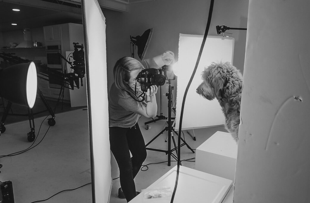 crystal buckey photographing goldendoodle like a champ