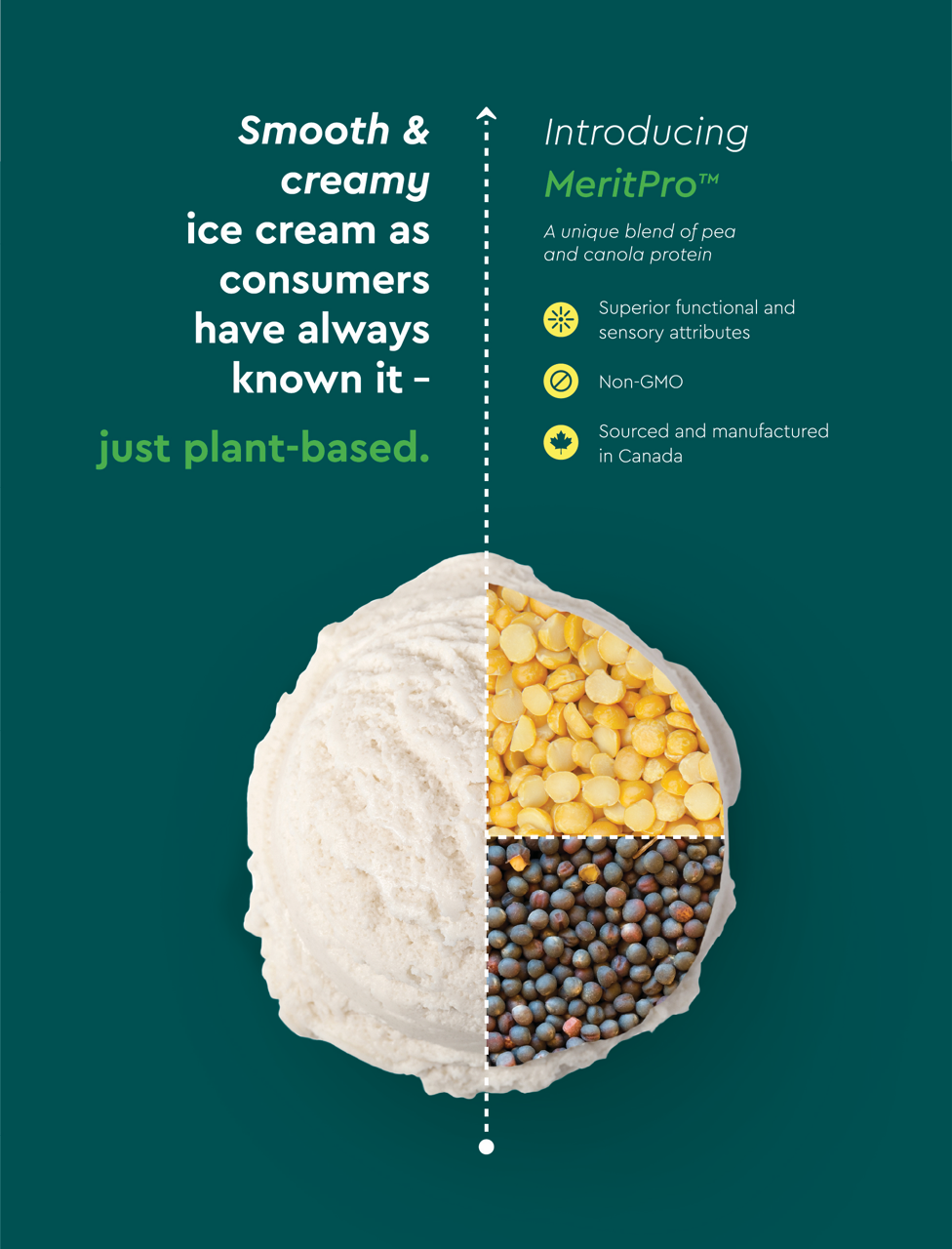 Plant Based icecream - Merit functional foods