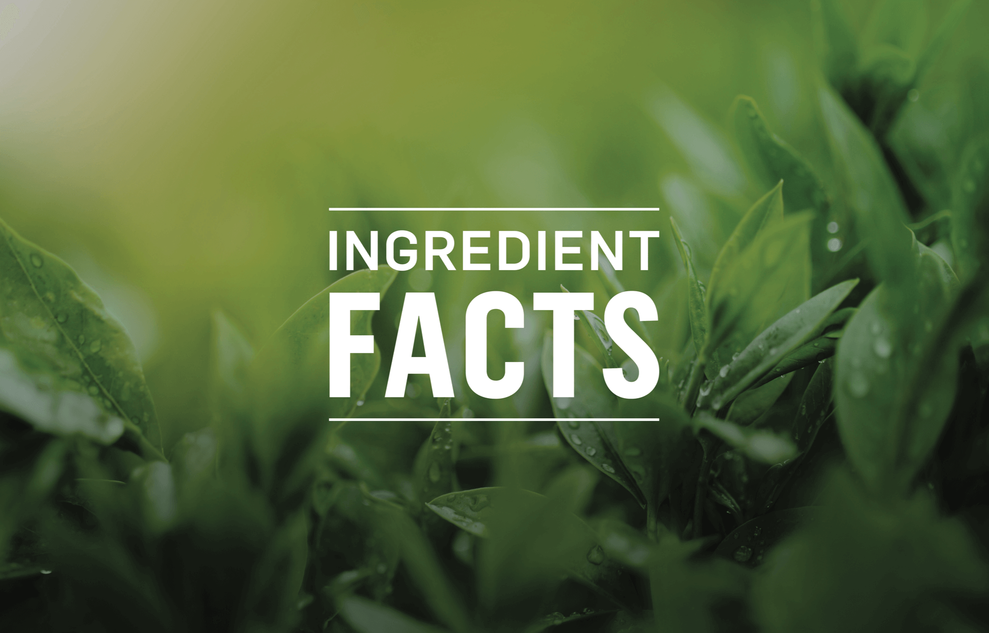 Ingredient Facts