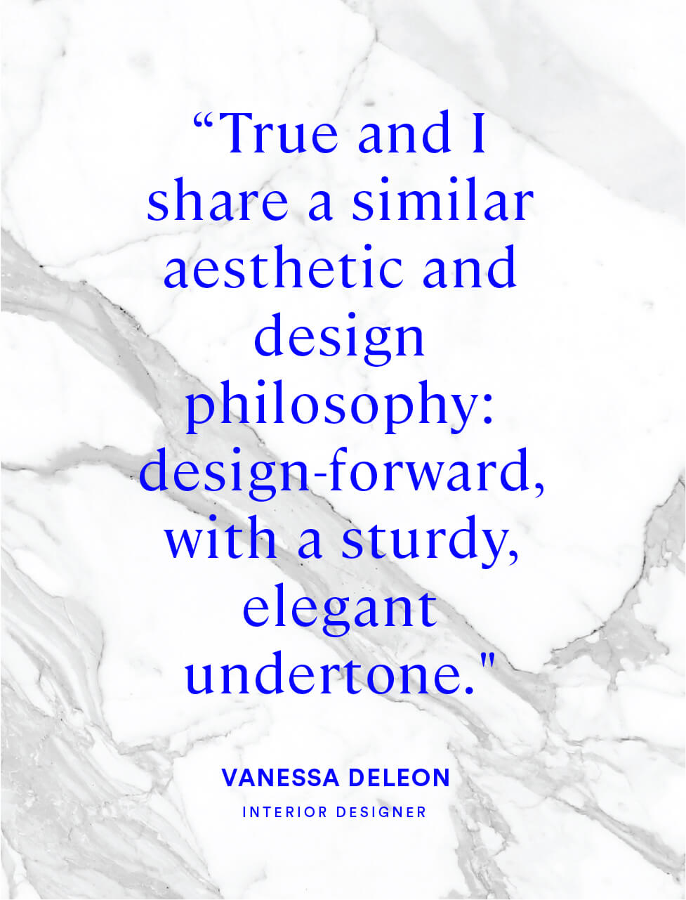 Vanessa Deleon Interior Designer Quote