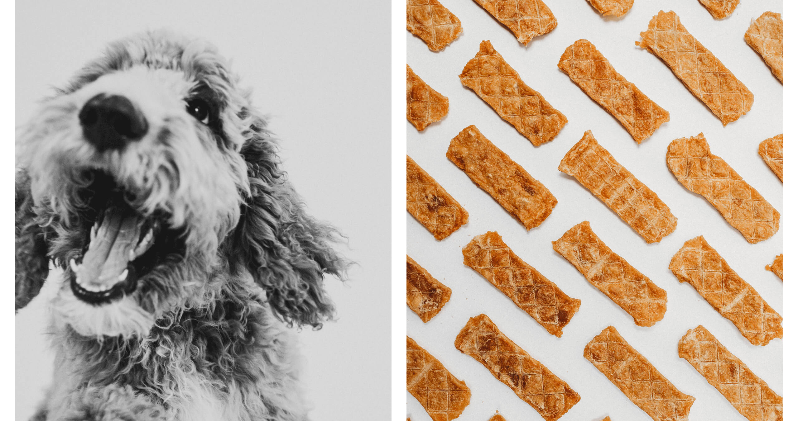 custom photo of goldendoodle face and chicken jerky treats