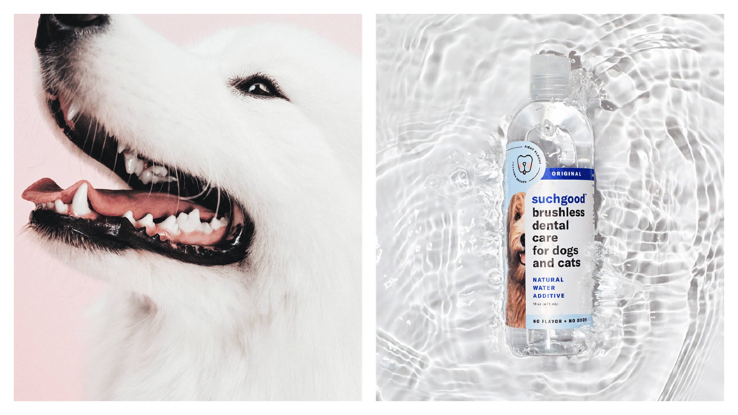 Suchgood Water Additive for Dogs Promo - dental pet care