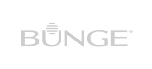Bunge grey logo
