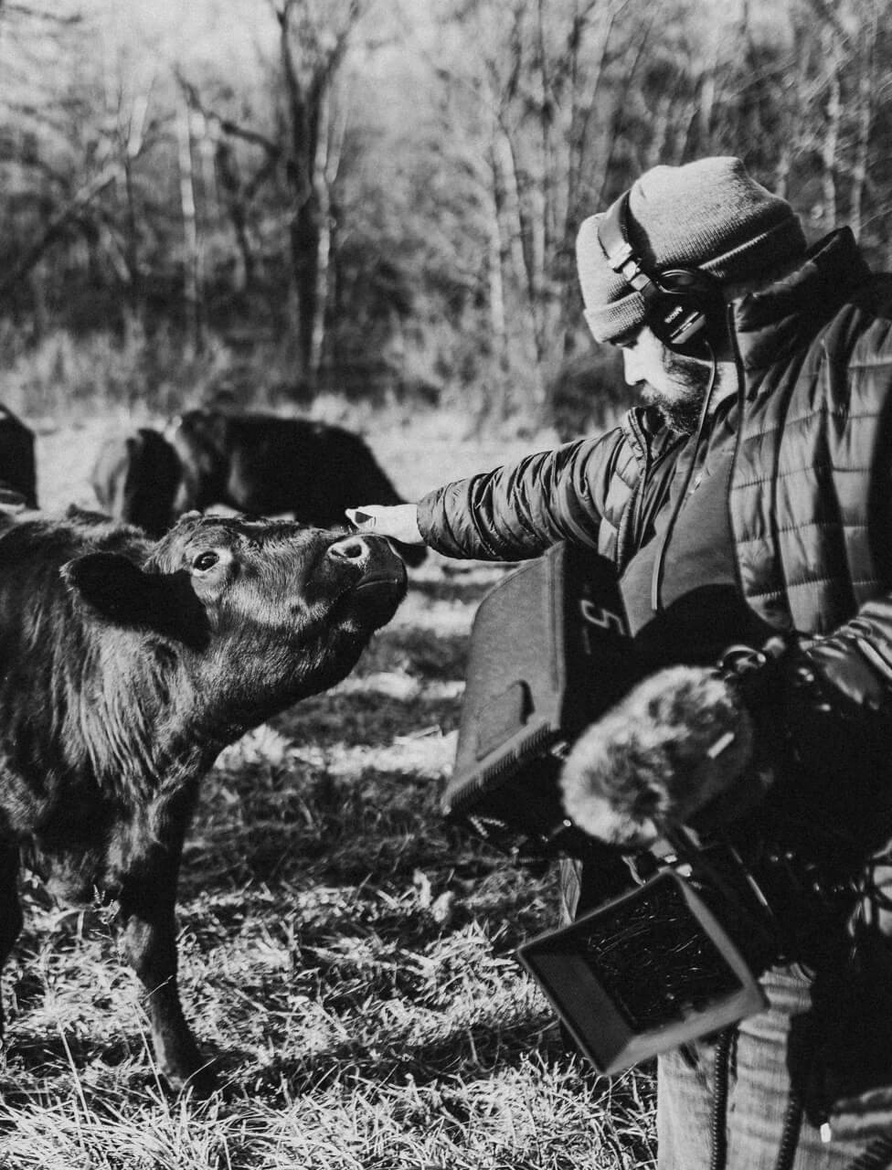 elliott petting cow regenerative agriculture